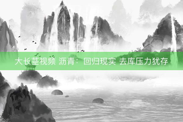大长茎视频 沥青：回归现实 去库压力犹存