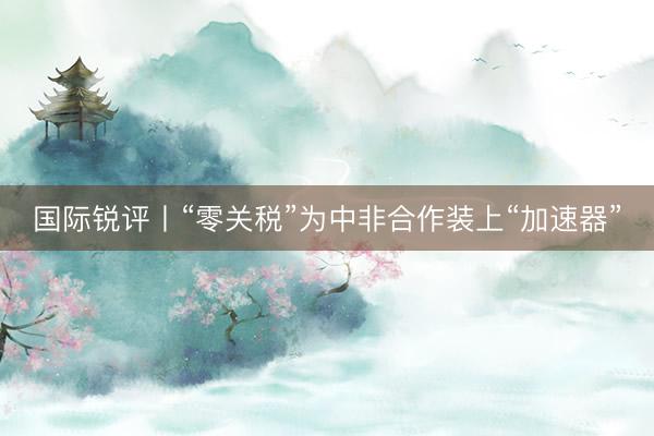 国际锐评丨“零关税”为中非合作装上“加速器”