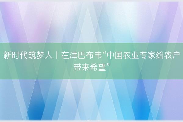 新时代筑梦人丨在津巴布韦“中国农业专家给农户带来希望”
