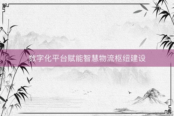 数字化平台赋能智慧物流枢纽建设
