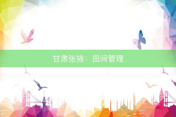甘肃张掖：田间管理