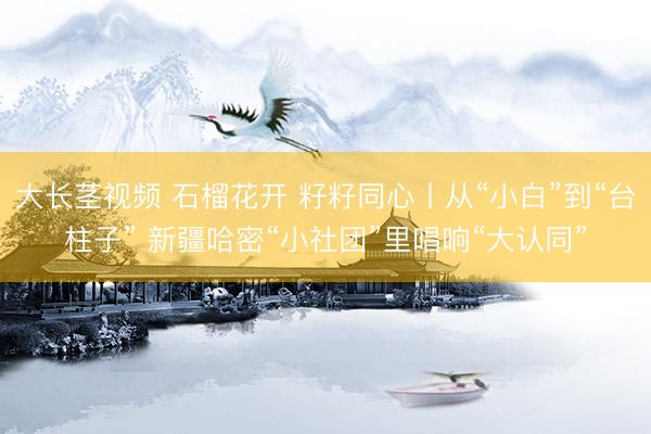 大长茎视频 石榴花开 籽籽同心丨从“小白”到“台柱子” 新疆哈密“小社团”里唱响“大认同”