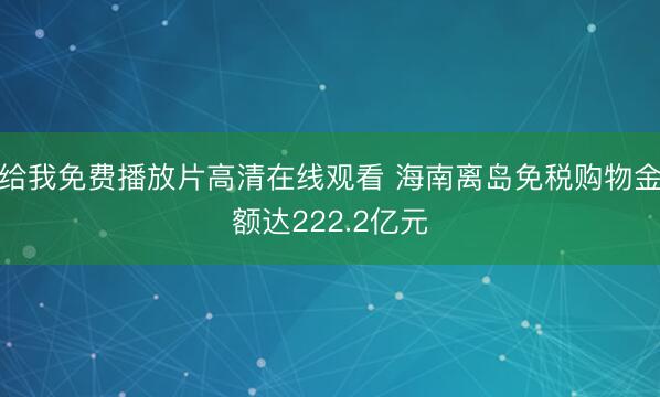 给我免费播放片高清在线观看 海南离岛免税购物金额达222.2亿元