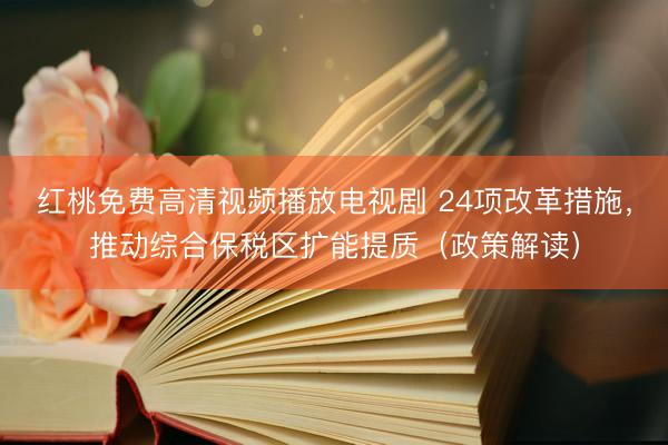 红桃免费高清视频播放电视剧 24项改革措施，推动综合保税区扩能提质（政策解读）