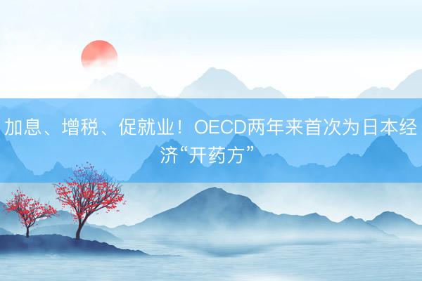 加息、增税、促就业！OECD两年来首次为日本经济“开药方” 