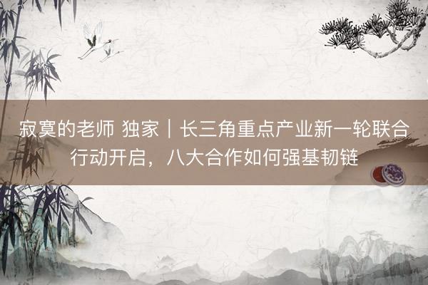 寂寞的老师 独家｜长三角重点产业新一轮联合行动开启，八大合作如何强基韧链