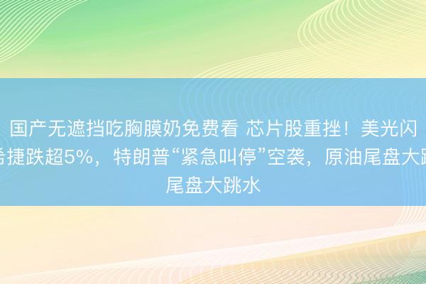 国产无遮挡吃胸膜奶免费看 芯片股重挫！美光闪迪希捷跌超5%，特朗普“紧急叫停”空袭，原油尾盘大跳水