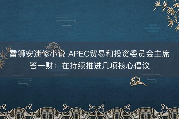 雷狮安迷修小说 APEC贸易和投资委员会主席答一财：在持续推进几项核心倡议