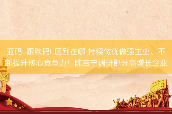 亚码L跟欧码L区别在哪 持续做优做强主业、不断提升核心竞争力！陈吉宁调研部分高增长企业