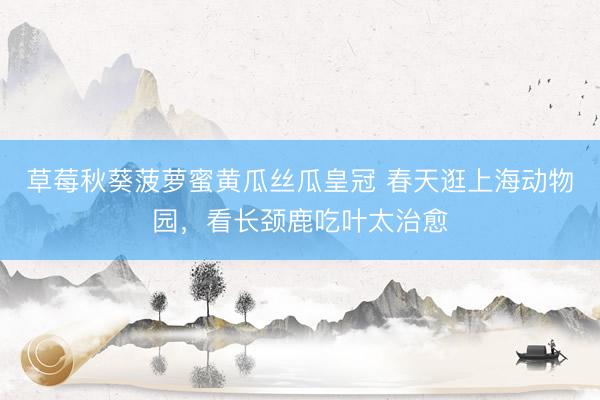 草莓秋葵菠萝蜜黄瓜丝瓜皇冠 春天逛上海动物园，看长颈鹿吃叶太治愈