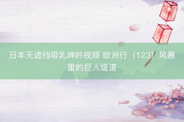 日本无遮挡吸乳呻吟视频 欧洲行（123）风暴里的巨人堤道