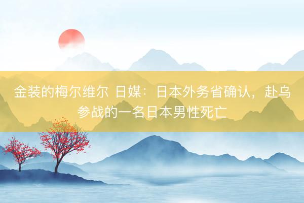 金装的梅尔维尔 日媒：日本外务省确认，赴乌参战的一名日本男性死亡
