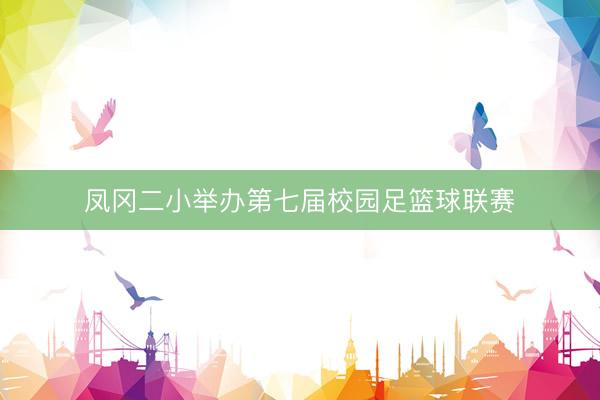 凤冈二小举办第七届校园足篮球联赛