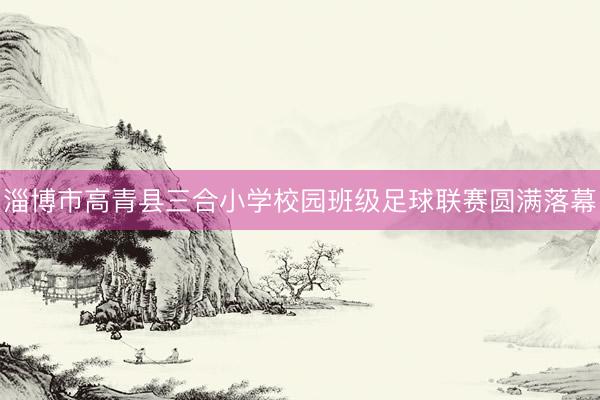 淄博市高青县三合小学校园班级足球联赛圆满落幕