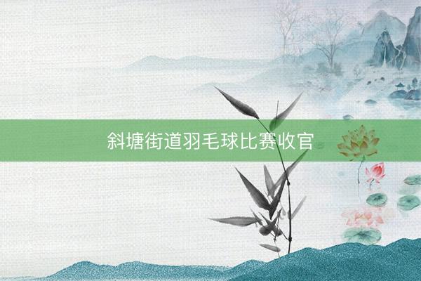 斜塘街道羽毛球比赛收官