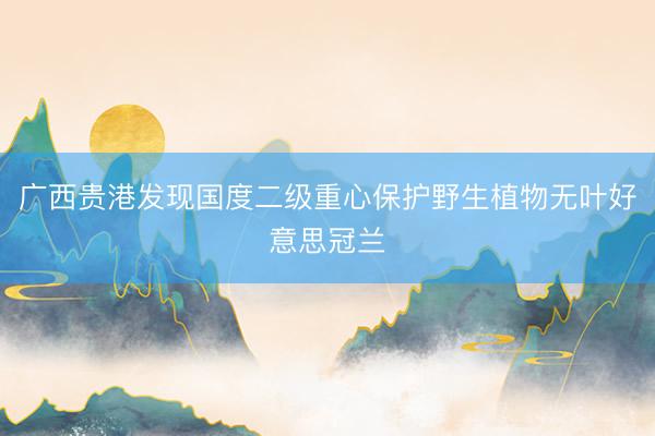 广西贵港发现国度二级重心保护野生植物无叶好意思冠兰