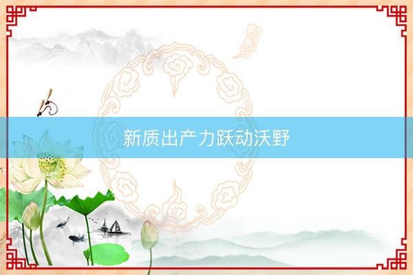 新质出产力跃动沃野