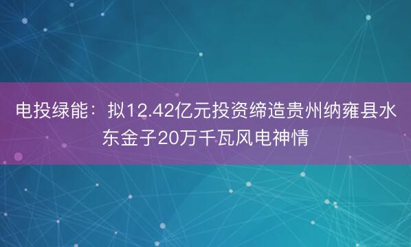 电投绿能：拟12.42亿元投资缔造贵州纳雍县水东金子20万千瓦风电神情