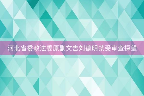 河北省委政法委原副文告刘德明禁受审查探望