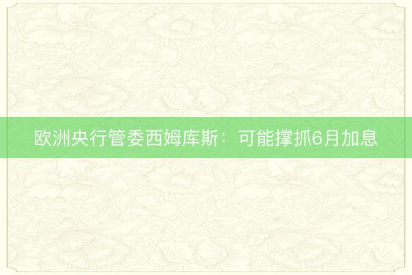 欧洲央行管委西姆库斯：可能撑抓6月加息