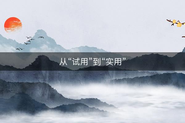 从“试用”到“实用”