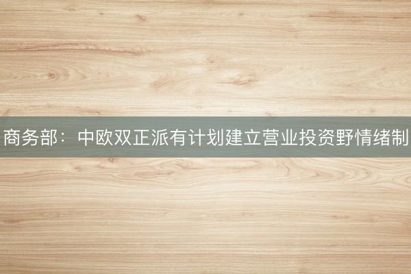 商务部:中欧双正派有计划建立营业投资野情绪制