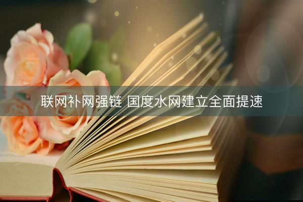 联网补网强链 国度水网建立全面提速