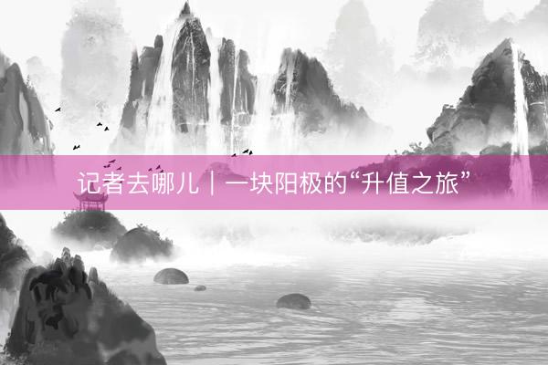 记者去哪儿｜一块阳极的“升值之旅”