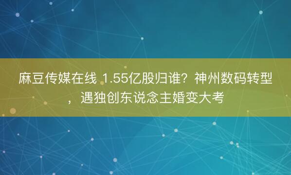 麻豆传媒在线 1.55亿股归谁？神州数码转型，遇独创东说念主婚变大考
