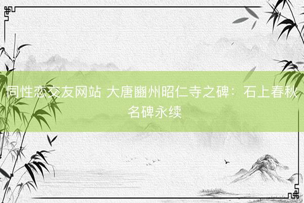 同性恋交友网站 大唐豳州昭仁寺之碑：石上春秋 名碑永续
