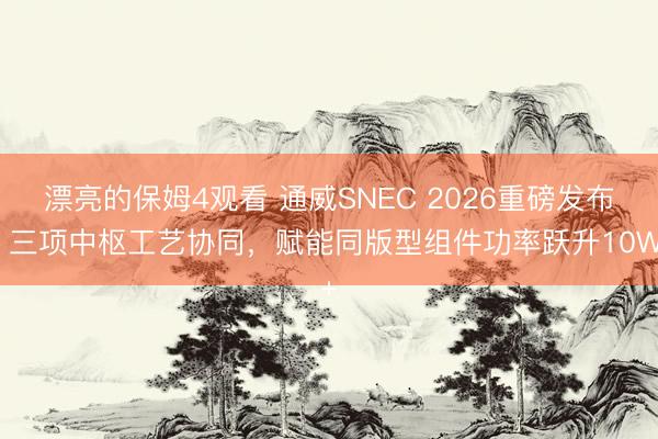 漂亮的保姆4观看 通威SNEC 2026重磅发布：三项中枢工艺协同，赋能同版型组件功率跃升10W+