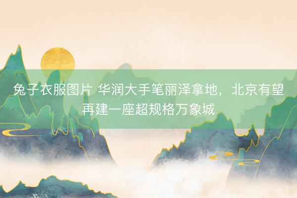 兔子衣服图片 华润大手笔丽泽拿地，北京有望再建一座超规格万象城