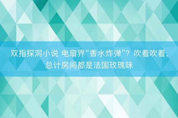 双指探洞小说 电扇界“香水炸弹”？吹着吹着，总计房间都是法国玫瑰味