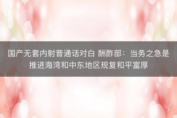 国产无套内射普通话对白 酬酢部：当务之急是推进海湾和中东地区规复和平富厚