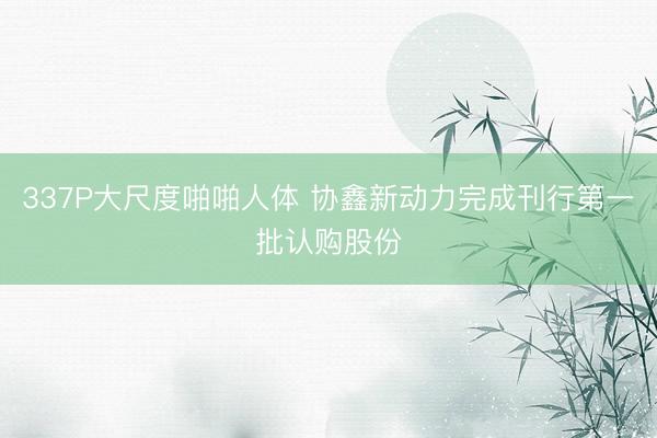 337P大尺度啪啪人体 协鑫新动力完成刊行第一批认购股份