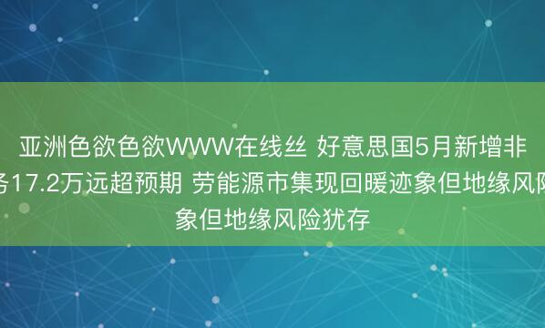 亚洲色欲色欲WWW在线丝 好意思国5月新增非农服务17.2万远超预期 劳能源市集现回暖迹象但地缘风险犹存