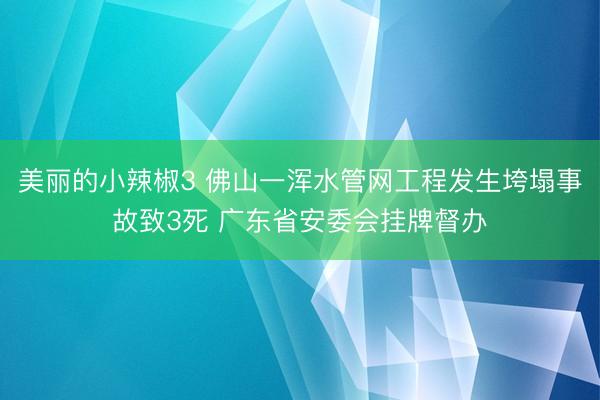 美丽的小辣椒3 佛山一浑水管网工程发生垮塌事故致3死 广东省安委会挂牌督办