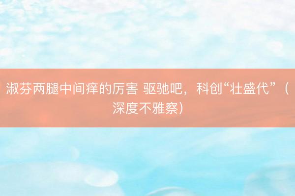淑芬两腿中间痒的厉害 驱驰吧，科创“壮盛代”（深度不雅察）