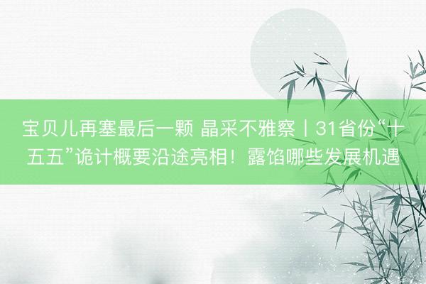 宝贝儿再塞最后一颗 晶采不雅察丨31省份“十五五”诡计概要沿途亮相！露馅哪些发展机遇