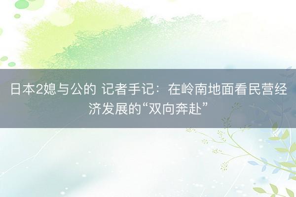 日本2媳与公的 记者手记：在岭南地面看民营经济发展的“双向奔赴”
