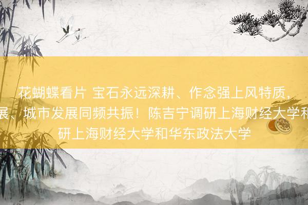 花蝴蝶看片 宝石永远深耕、作念强上风特质，更好与国度发展、城市发展同频共振！陈吉宁调研上海财经大学和华东政法大学