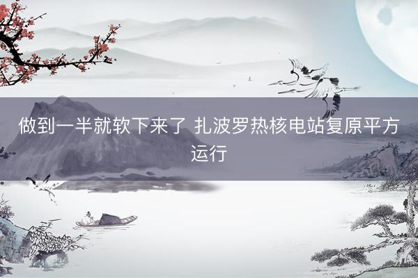 做到一半就软下来了 扎波罗热核电站复原平方运行