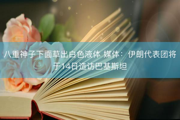 八重神子下面草出白色液体 媒体：伊朗代表团将于14日造访巴基斯坦