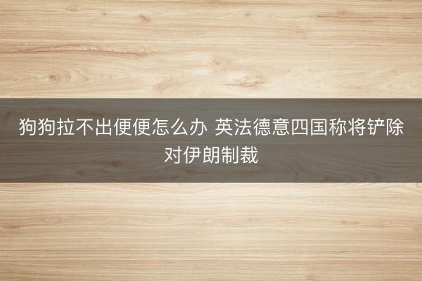 狗狗拉不出便便怎么办 英法德意四国称将铲除对伊朗制裁